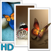 蝶の壁紙 - HD