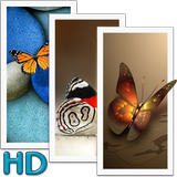 Butterfly Wallpapers - HD آئیکن