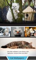 Fonds d'écran Cute Cats - HD capture d'écran 1