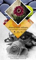 Flowers Wallpapers - HD پوسٹر