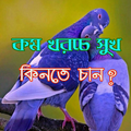 কম খরচে সুখ কেনেন