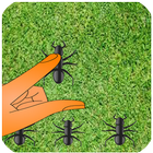 آیکون‌ Crush Ants Game Best