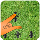 Crush Ants Game Best آئیکن
