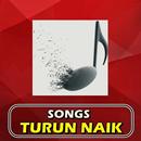 TURUN NAIK Songs APK
