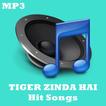 Best Songs TIGER ZINDA HAI