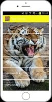 बाघ लगता है स्क्रीनशॉट 3