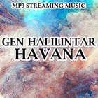 Havana Gen Halilintar ikona