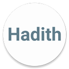 110 Hadith Qudsi in English icône