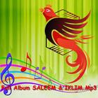 Full Album Lagu SALEEM & IKLIM icône