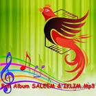 Full Album Lagu SALEEM & IKLIM आइकन