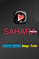 CALVIN HARRIS Best Songs - Feels پوسٹر