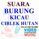 VIDEO SUARA BURUNG CIBLEK HUTAN APK