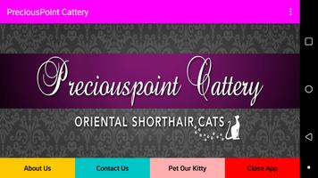 Preciouspoint Cattery Affiche