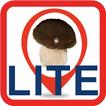 Icona Funghi in Mappa Lite