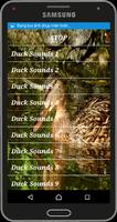 برنامه‌نما Duck Sounds عکس از صفحه