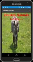 Donkey Sounds Affiche