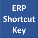ERP System Shortcut Key aplikacja