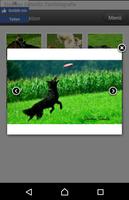 Tierfotografie Stephan Schmitz screenshot 2