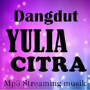 lagu lawas YULIA CITRA terhits APK