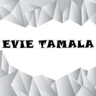 Lagu Dangdut EVIE TAMALA Terlengkap icône