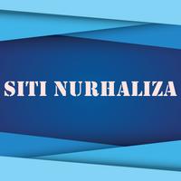 Kumpulan Lagu SITI NURHALIZA Lengkap স্ক্রিনশট 1