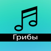 Грибы - Тает Лёд Полная песня
