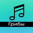 Грибы - Тает Лёд Полная песня APK