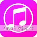 Ceylan Ertem Şarkıları - Zalım APK