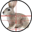 Reclamo De Conejo