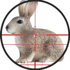 Reclamo De Conejo icono