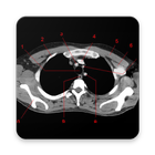 POCKET ATLAS CT THORAX biểu tượng