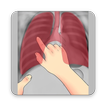 Interpretation Chest X Ray