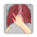 Interpretation Chest X Ray APK