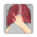 Interpretation Chest X Ray ícone