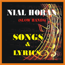 NIALL HORAN SONGS APK