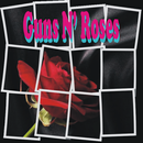 Guns N' Roses Best Songs APK