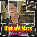 Richard Marx - Falling Best Songs APK