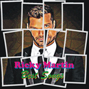 Ricky Martin Best Songs APK