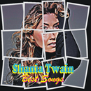 Shania Twain Best Songs APK
