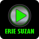 Lagu Erie Suzan Lengkap Dangdut Mp3 APK