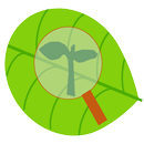 Klasifikasi Tumbuhan APK