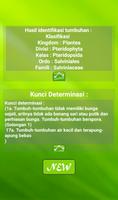 Klasifikasi Tumbuhan تصوير الشاشة 3