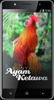 Bunyi Ayam Ketawa 截圖 1