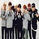 BTS Songs - Love YourselF APK