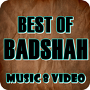 All Badshah Song APK