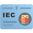 IE Code / IEC / Search and Verify Import Export icône
