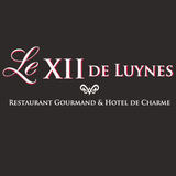 Le XII de Luynes icon