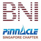 BNI Pinnacle Zeichen