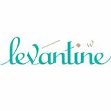 Levantine icon