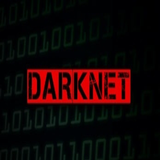 Darknet: The Guide icône